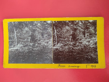 Photo Fosse Sauvage 1907