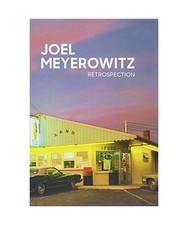 Rétrospection, Meyerowitz