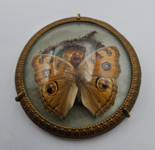 ANCIEN MEDAILLON VERRE BOMBE DECOR FLORAL  PAPILLON EN METAL DORE