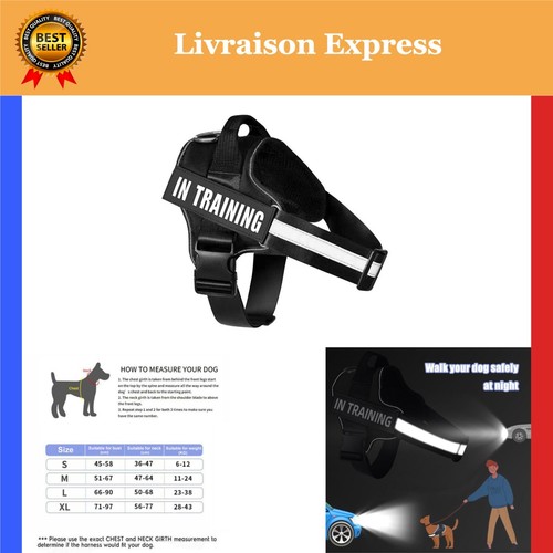 Harnais pour chien - pour,