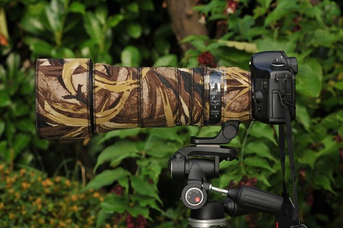 Sigma 150 600mm - , contemporary
