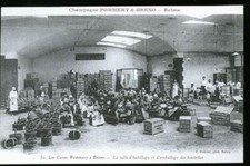REIMS TRAVAIL DE LA VIGNE
