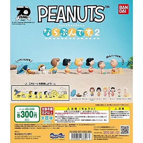 Peanuts charlie brown - brown, mini