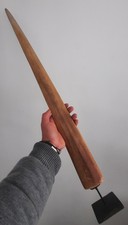 curiosité , taxidermie