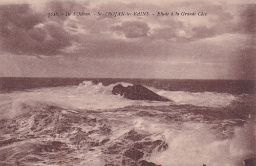 54550 cpa ile - *54550,