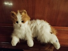 Chat peluche moustache - peluche, "moustache"
