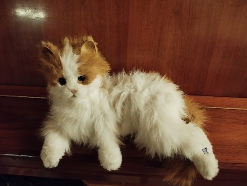 Chat peluche moustache - chat,