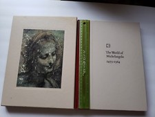 The World Of Michelangelo