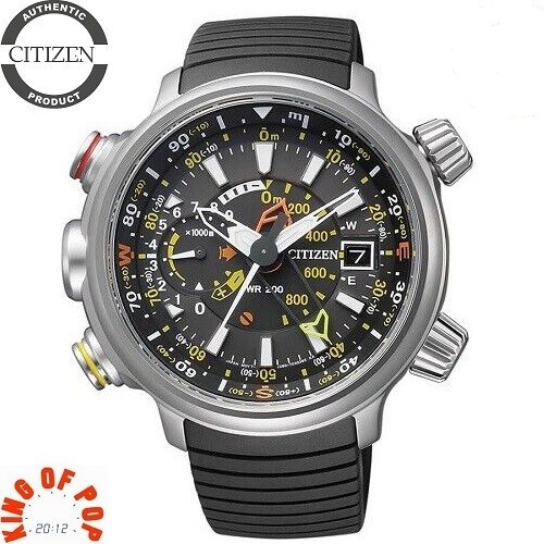 Citizen bn4021 02e - bn4021-02e, promaster