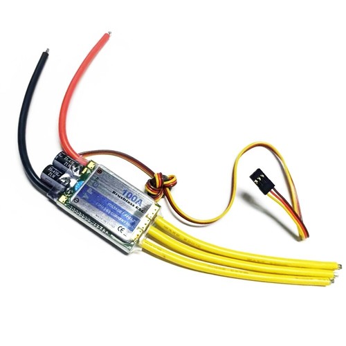 Ypg 100a brushless speed - ypg,