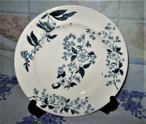 Assiette ancienne céramique - ,