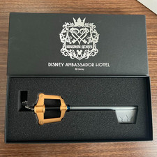 Clé de chambre Disney Kingdom