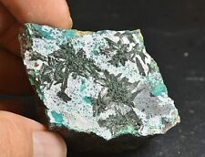 Atacamite de la Farola Tierra
