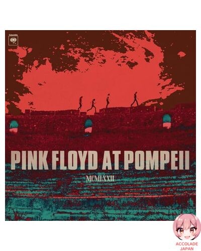 Disque vinyle analogique pink - disque,