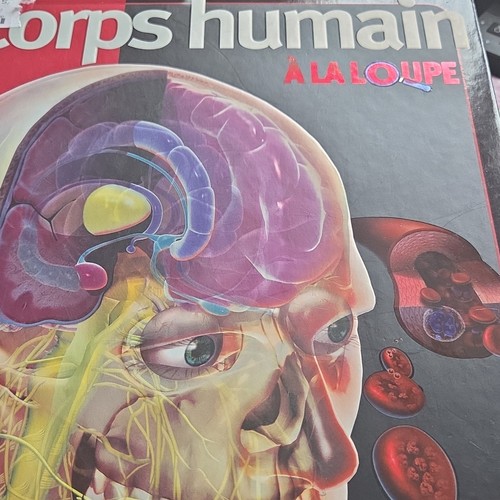 Corps humain loupe - humain, à