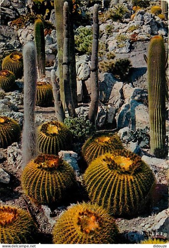 Carte postale fleurs - postale,