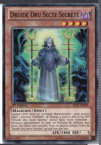 Druide dru secte - druide,
