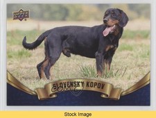 2018 upper deck - upper,