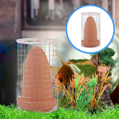 Spawning cone cône - spawning,