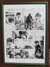 PHILIPPE DELABY PLANCHE ORIGINALE ETOILE POLAIRE 50x 35 cm.