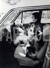 Photo de presse vintage Chien