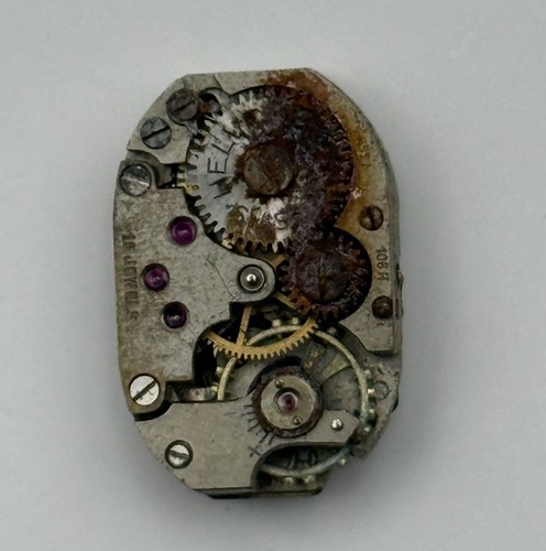 Mouvement montre helvetia - montre,