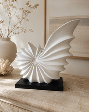 Coquillage Géant Déco 25 cm