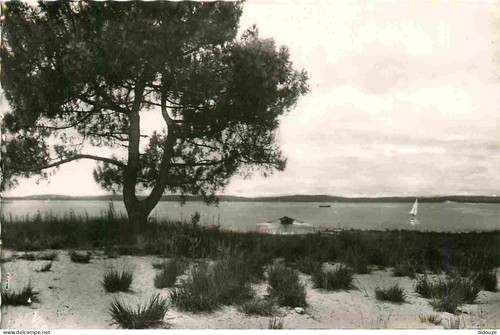 Carte postale lacanau - postale,