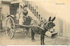 Reproduction CPA - Paysans - Porteuse de lait - Laitière - Attelage - Anes - CPM