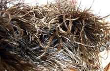 ANCIENNE PLUME BANDEAU BOA EN AUTRUCHE POUR CHAPEAU ANCIEN-STOCK DE MODISTE