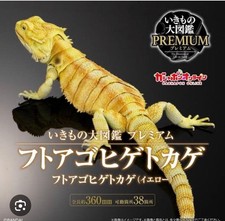 Nouvelle figurine dragon barbu