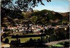 *44620 cpsm 15 Vic sur Cere - vue générale