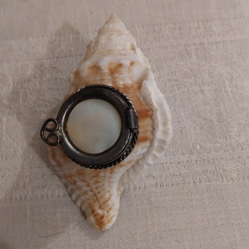 Encrier coquillage - encrier,
