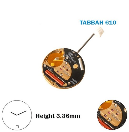 Mouvement suisse tabbah - suisse,