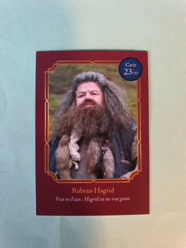 Carte harry potter - harry, auchan