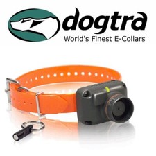 Dogtra STB Beeper Collar BEEP
