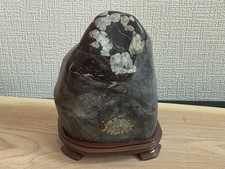 Suiseki Bonseki Bonsaï Jardin