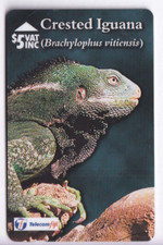 OCEANIE  TELECARTE / PHONECARD .. ILES FIJI 5$ GPT 19FJC IGUANE IGUANA