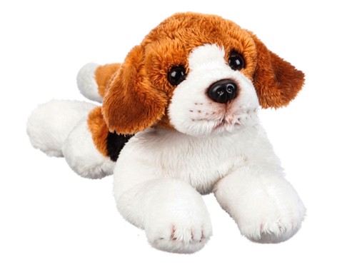 Animal peluche beagle - peluche, bean