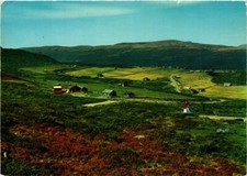 CPM AK Peer Gynt seterveg