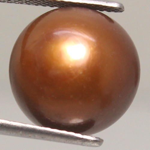 Perle tahiti forme ronde - tahiti,