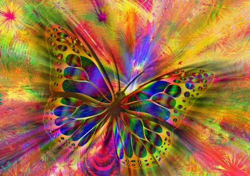 Puzzle 1500 pièces papillon - puzzle,