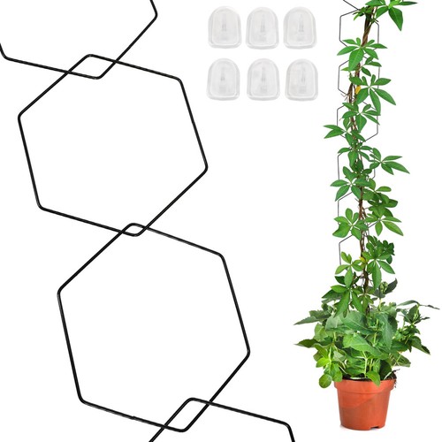 Trellis pour plante - pour,