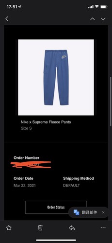 Supreme nike cargo pants - nike,