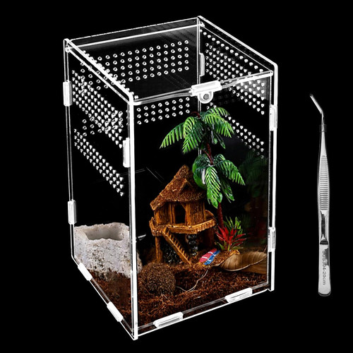 Terrarium acrylique 12 - 20,