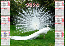 calendrier 2026 oiseau paon blanc affiche plastifiée 30x40 cm réf 254