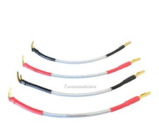 Câble cavalier haut-parleur