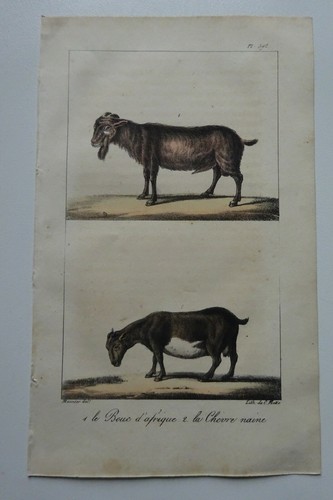 Lithographie 1825 c - ,