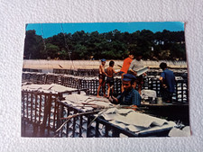 Carte Postale -  Bassin d' Arcachon - Pose des tuiles pour les Alevins