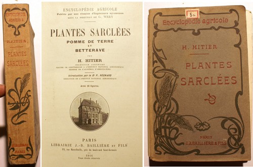 PLANTES/SARCLEES/H.HITIER/ED